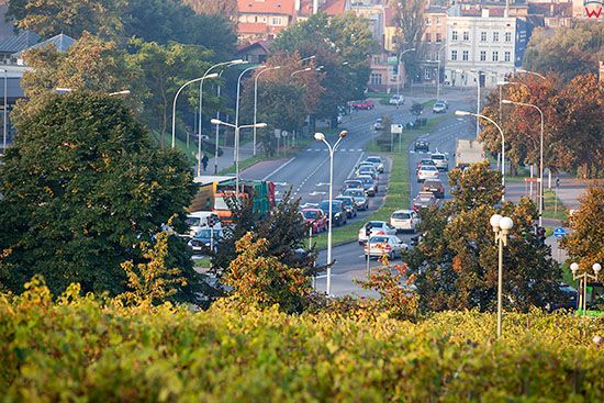 Zielona Gora, panorama na Aleje Konstytucji 3 go Maja przez ogrod winny Palmiarni. EU, PL, Lubuskie.